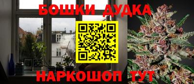 альфа пвп Владикавказ