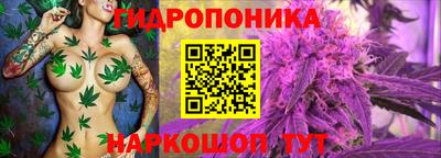 jwh Вышний Волочёк