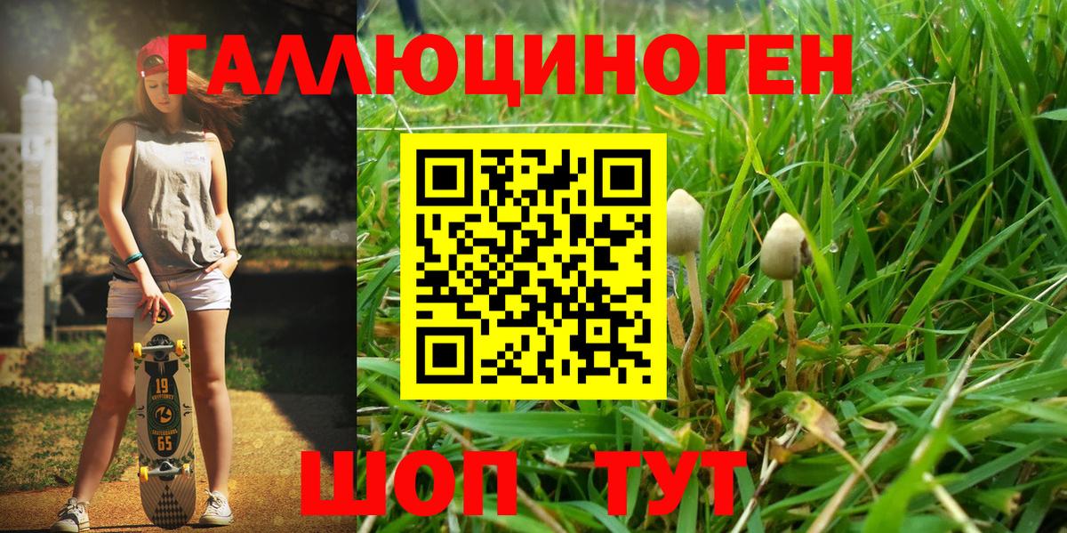 Галлюциногенные грибы Cubensis Анапа